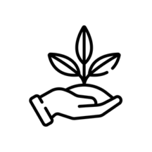 tarim ACTIVITY